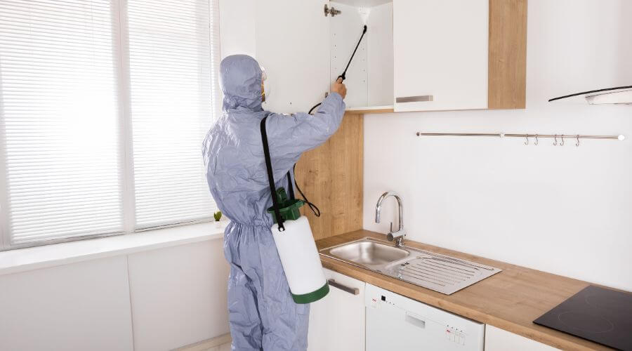Professional pest control services in Western Suburbs, Melbourne